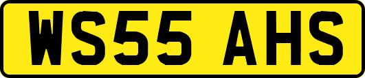 WS55AHS