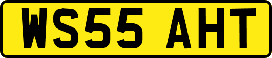 WS55AHT