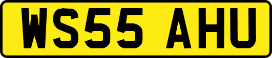 WS55AHU