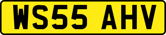 WS55AHV