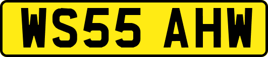WS55AHW