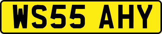 WS55AHY