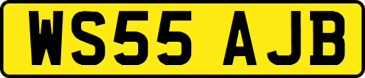 WS55AJB