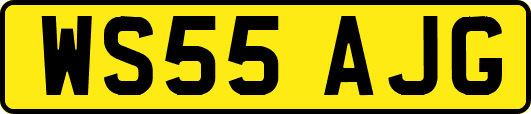 WS55AJG