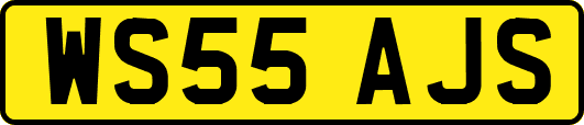 WS55AJS