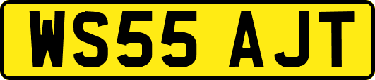 WS55AJT
