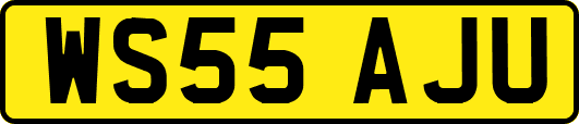 WS55AJU