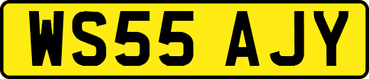 WS55AJY