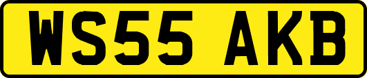 WS55AKB