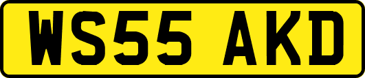 WS55AKD