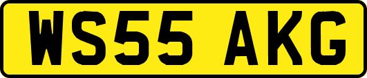 WS55AKG