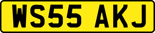 WS55AKJ