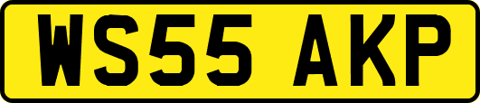 WS55AKP