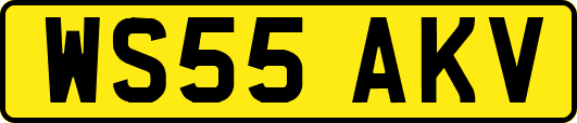 WS55AKV