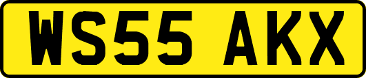 WS55AKX