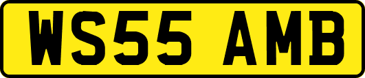 WS55AMB