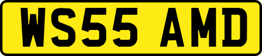 WS55AMD