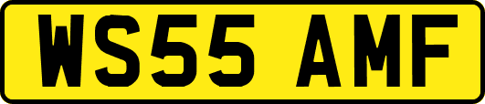 WS55AMF