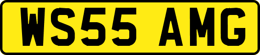 WS55AMG