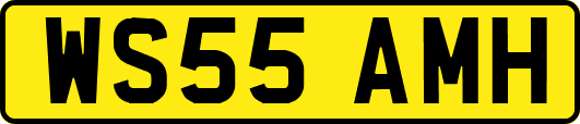 WS55AMH