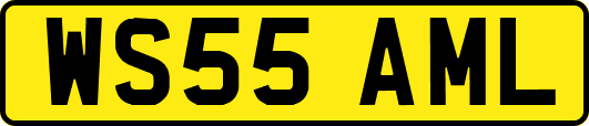 WS55AML