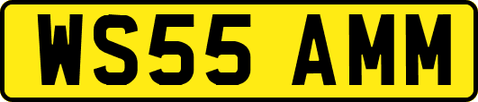 WS55AMM