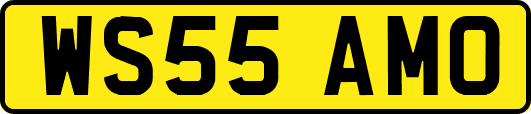 WS55AMO