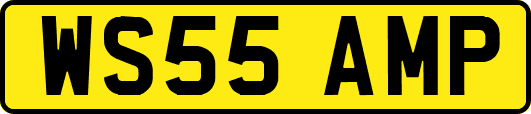 WS55AMP