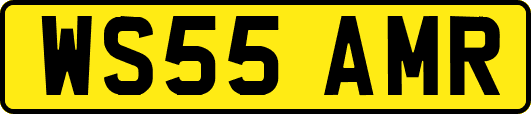 WS55AMR