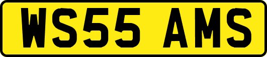 WS55AMS