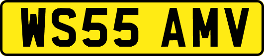 WS55AMV