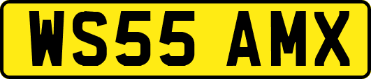 WS55AMX