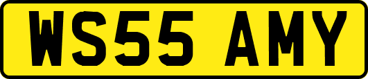 WS55AMY