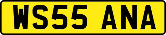 WS55ANA