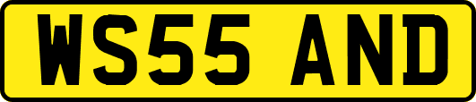 WS55AND