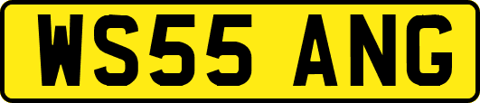 WS55ANG
