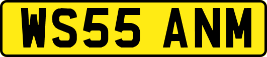 WS55ANM