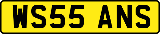 WS55ANS