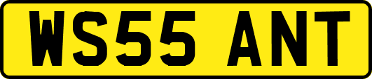 WS55ANT