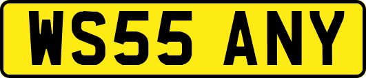 WS55ANY