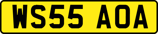 WS55AOA
