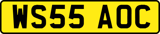 WS55AOC
