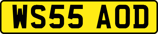 WS55AOD