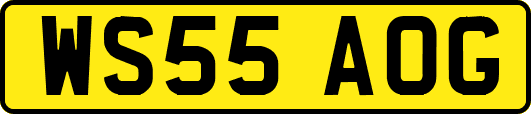 WS55AOG