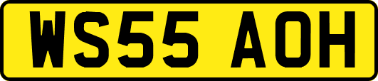 WS55AOH