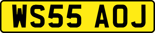 WS55AOJ