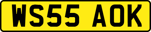 WS55AOK