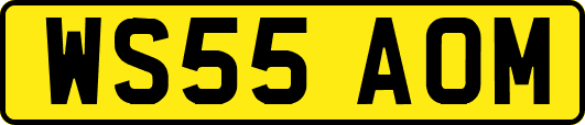 WS55AOM