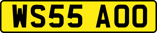 WS55AOO