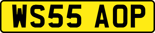 WS55AOP